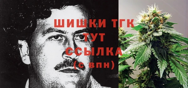 шишки Протвино