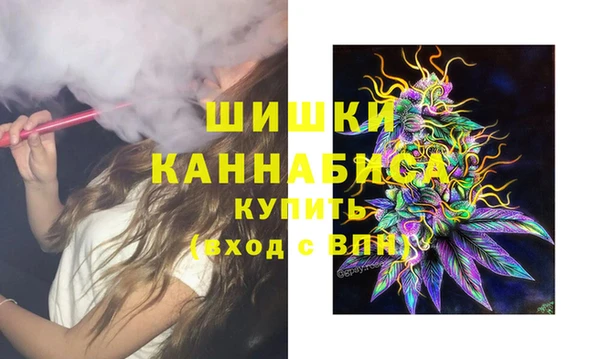 стаф Абаза