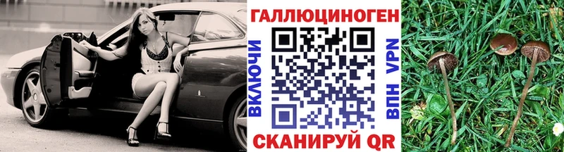 дарнет шоп  Искитим  Галлюциногенные грибы Psilocybe 